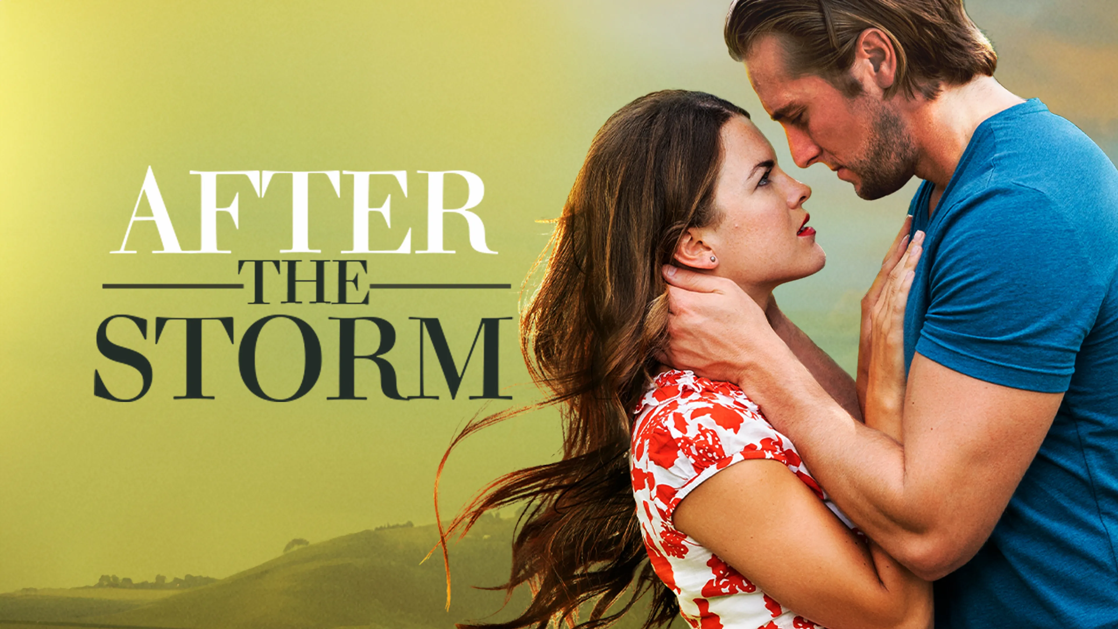 After the Storm poster